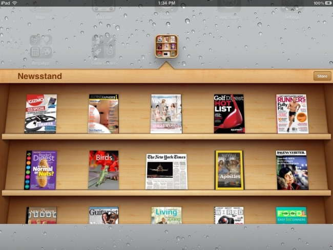 e-newsstands-1