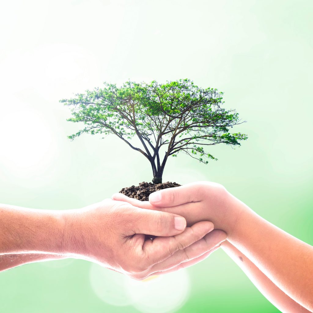 Commitment to Environment blog photo