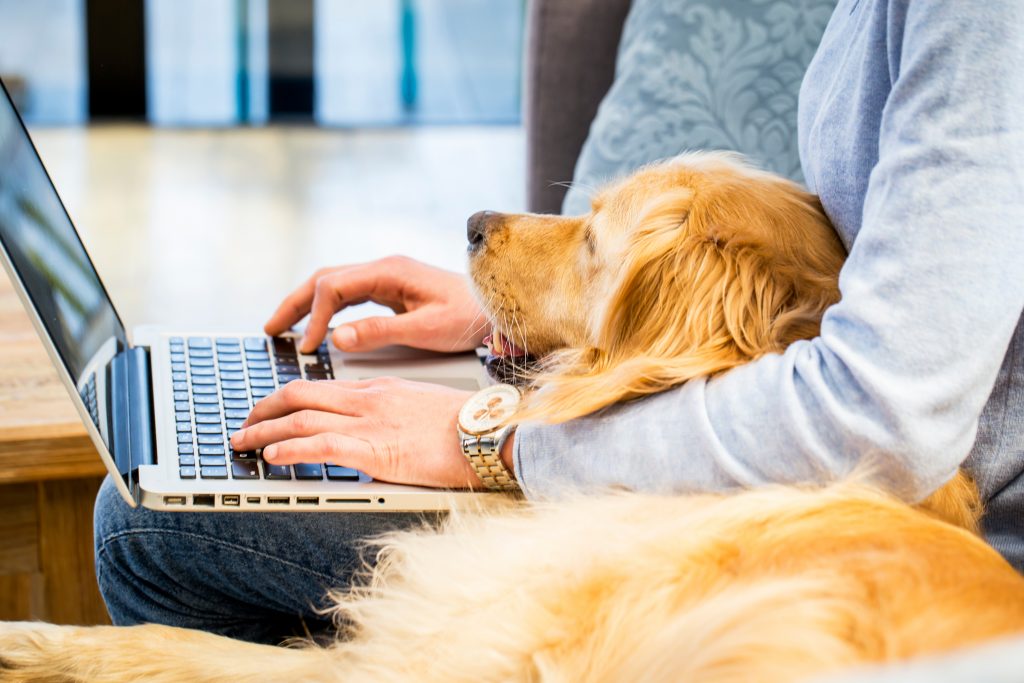 Remote workers blog photo