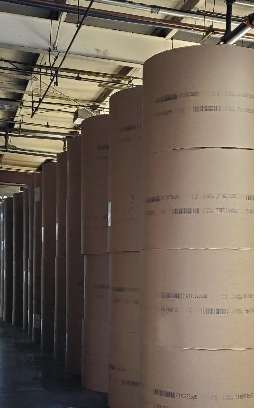 PaperRolls3a