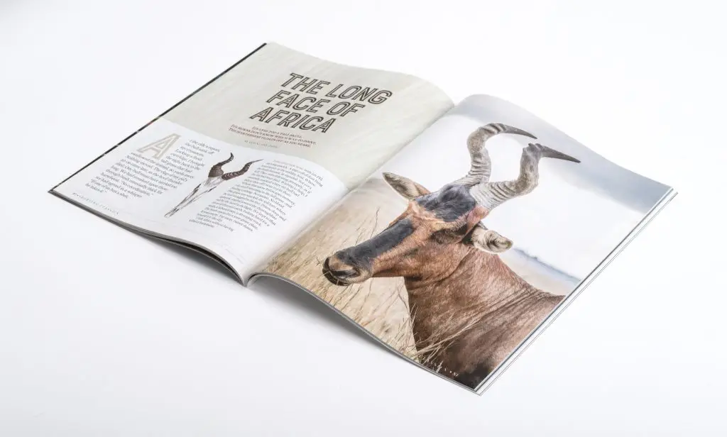 Sporting Classics Spread