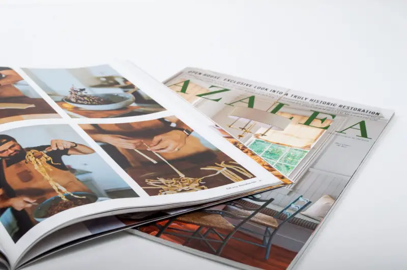 Azalea Magazine Cover and Spread